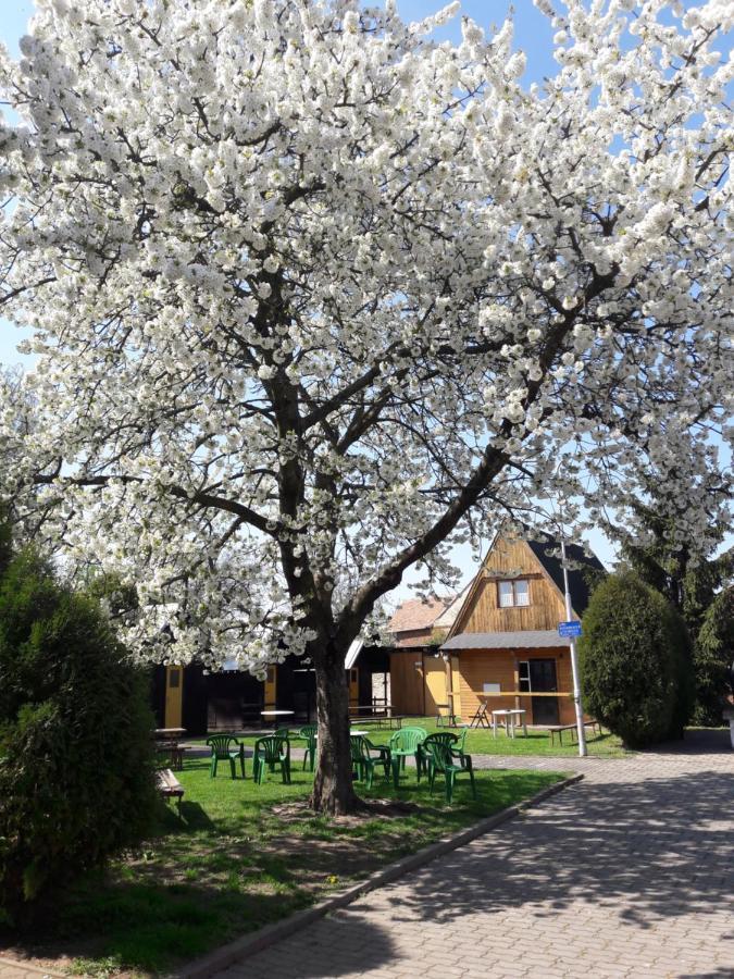 Hotel Penzion a Chatový Camp Havraníky u NP Podyjí Exteriér fotografie